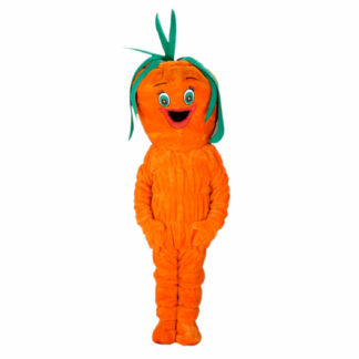Mascotte de Carotte Sourire