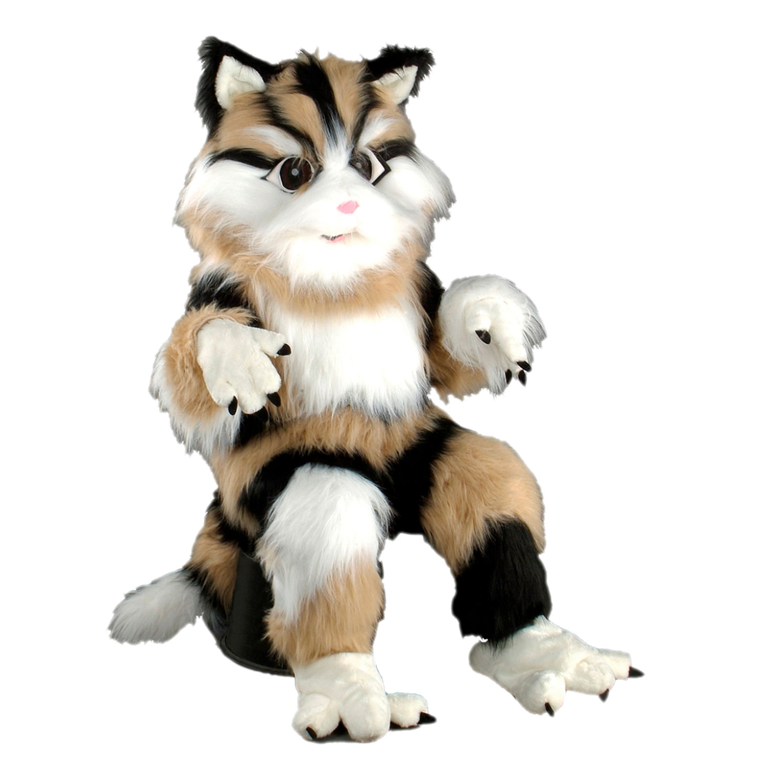 Mascotte de Chat Beige