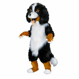 Mascotte de Chien Bernois